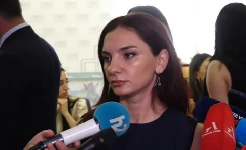 ԱԳՆ-ում աշխատանքից ազատման դիմում եմ գրել 2020թ․ նոյեմբերի 10-ին, բայց հետո որոշեցի սպասել. Արեգա Հովսեփյան
