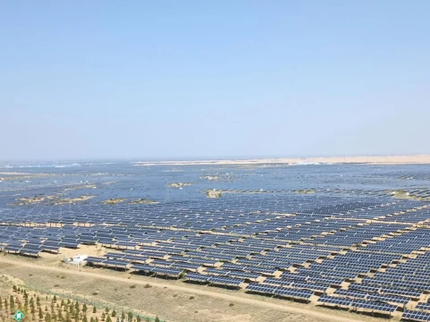 A Sea of Solar Panels in the Desert: China’s Ambitious Project Is Redefining the Future of Energy