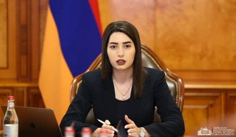 Глава МВД: Необходимо подчеркнуть важность обеспечения устойчивой правовой связи между получающим гражданство лицом и Арменией