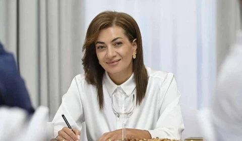 Анна Акопян: В Армении начался новый законодательный этап борьбы с семейным насилием