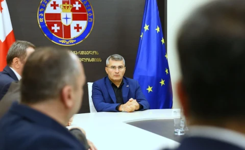 Вице-премьер Грузии Мамука Мдинарадзе объявил об уходе из политики