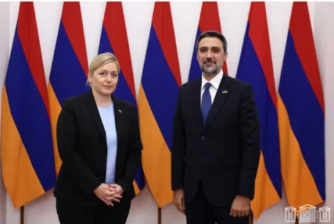 Արամ Վարդևանյանը ՀՀ–ում Շվեյցարիայի դեսպանին է ներկայացրել Հայաստանի ներքաղաքական իրավիճակը