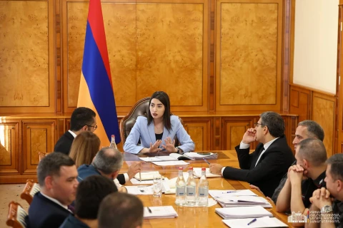 Քննարկվել են Կառավարության ծրագրի՝ ՆԳՆ և ենթակա ծառայություններին վերաբերող դրույթների կատարման ընթացքը