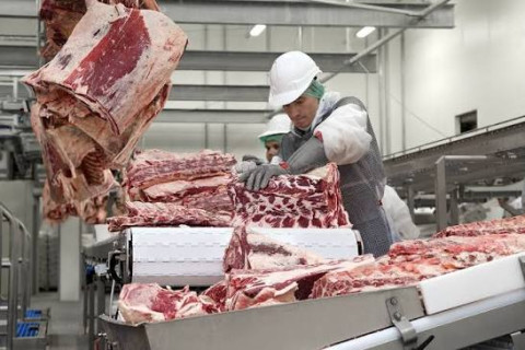 Прогноз: Мировое производство говядины снизится на 2–3%