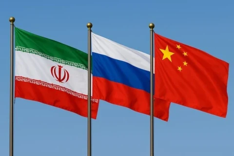 Три страны выступили против проекта США и европейских держав по Ирану в МАГАТЭ