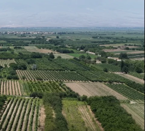Գնում ենք Տիգրանաշեն. Զարգացում, ոչ թե հանձնում. «Ուժեղ Հայաստան»-ը Տիգրանաշենի ճանապարհին է (վիդեո)