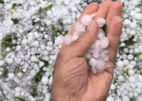«Կոտրված ապակիներ, մերկացած ծառեր». Խոշոր կարկուտ ու փոթորիկ Լոռու Լորուտ գյուղում (վիդեո)