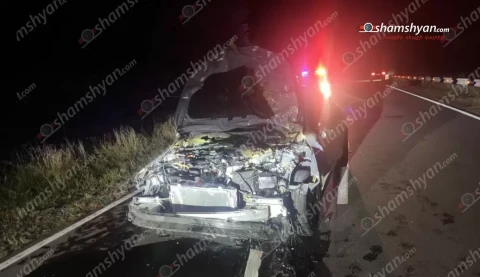 Ծովագյուղ-Շորժա ճանապարհին Honda Accord-ը բախվել է 3 գլուխ խոշոր եղջերավոր անասունների, որոնք տեղում սատկել են