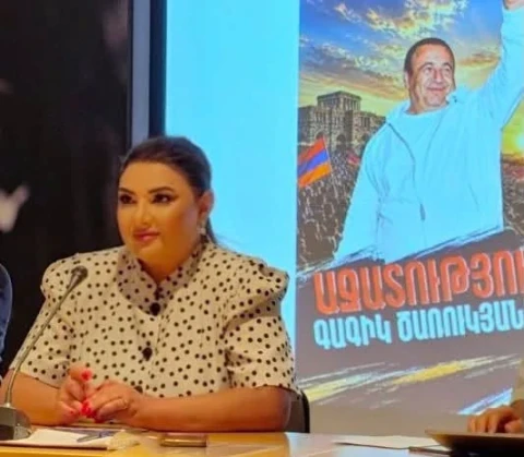 ԵԽԽՎ-ն մտահոգիչ է համարել ընտրատեղամասերի արդյունքների չեղարկելը և վերաքվեարկություն չնշանակելը. Տոնոյան