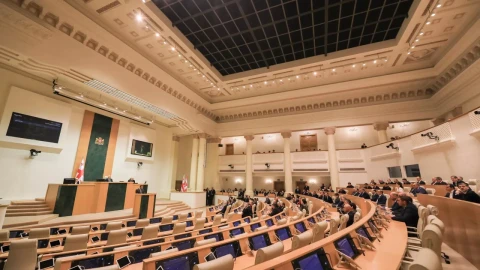 Парламент Грузии освободил от налога на имущество людей с годовым доходом до 100 тыс лари