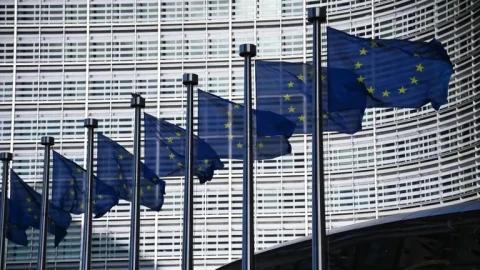 Politico: ЕС может направить средства фонда Global Europe для высылки мигрантов
