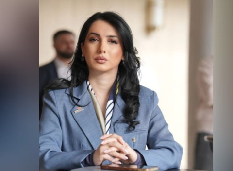 Փաշինյանը փորձում է մեղմել Շաքիում հայ կնոջը կրակած ադրբեջանցու գործողությունները․ Ղահրամանյան