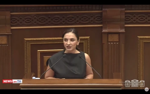Իհլա՛մ Ալիև, ձեր դիմաց նվաստացող Նիկոլ Փաշինյանը ոչ մի կապ չունի հայ ժողովրդի հետ. Արեգա Հովսեփյան