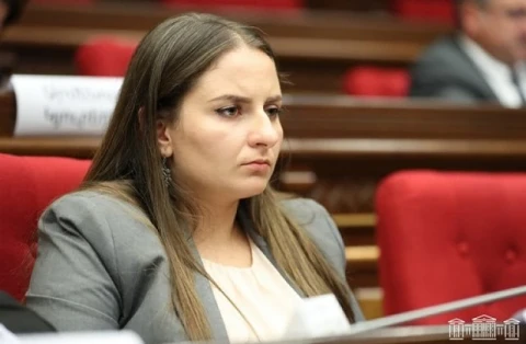 Իշխանությունը ոչ մի հակափաստարկ չունի, ունի իրականության հետ կապ չունեցող մշակված թեզեր, որոնք ծիծաղելի են. Վարդանյան