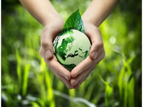 На COP17 в Ереване заявили о медлительности в реализации глобальной программы в области биоразнообразия