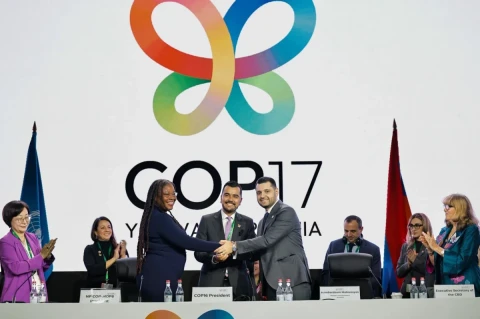 Ընտրվեցի COP17-ի նախագահ. Համբարձում Մաթևոսյան