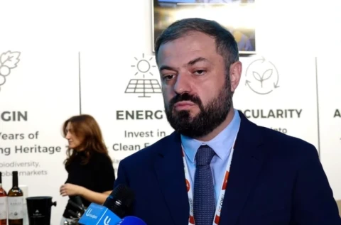 Папоян: Если мы хотим решить вопрос биоразнообразия, то нужно решить и вопрос денег