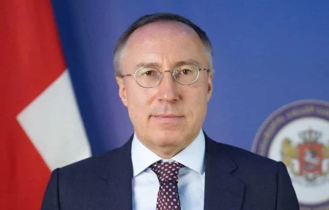 Замглавы МИД Грузии Зурабашвили назначили спецпредставителем по связям с РФ