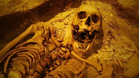 «Корпоративный психопат» XVII века: как один человек превратил кораблекрушение в бойню