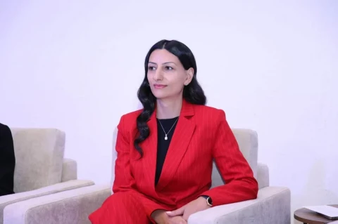 Հայաստանը պետք է ընդունի հակա-SLAPP օրենսդրություն․ Անահիտ Մանասյան