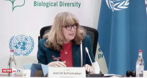 Փողն ընդդեմ բնության. ՄԱԿ-ի կոնվենցիայի ղեկավարն կոչ է արել փոխել խաղի կանոնները