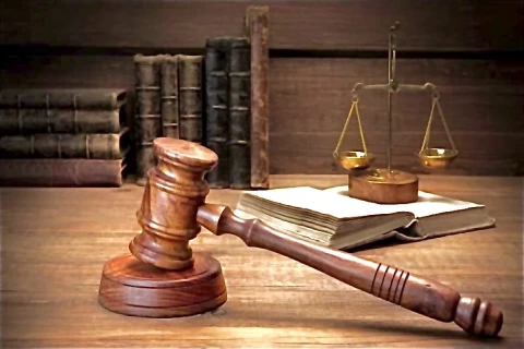Կոբախիձե՞, թե՞ Սիմոնյան․ վրացի ակտիվիստի տուգանքի շուրջ տարակարծություններ են առաջացել