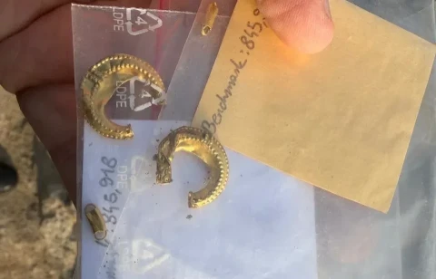 Gold earrings, button, coin of Octavian Augustus, bronze dagger: Exclusive finds discovered at Armenia’s Metsamor archaeological site (PHOTOS)