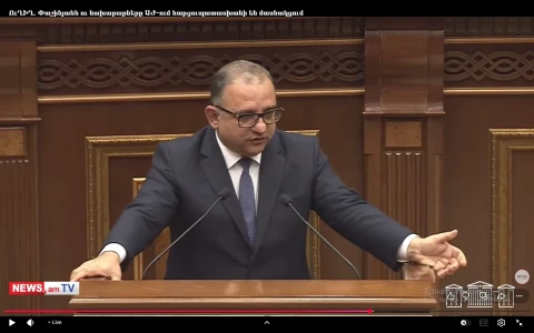 «Վեոլիա ջուրն» էլ այզգայնացրեք, ունեք այդ նախադեպը, ինչու՞ ոչ. Հայկ Ֆարմանյանը՝ կառավարությանը