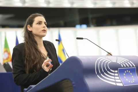 Депутат Европарламента: Азербайджан стирает историю армян Нагорного Карабаха