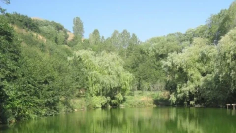 Փրկարարները դժվարամատչելի հատվածից իջեցրել են քաղաքացուն