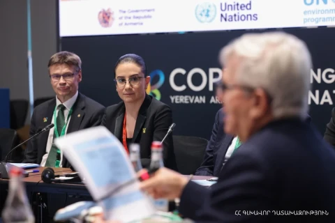 Բնության հատուկ պահպանվող, այդ թվում՝ կանաչ տարածքները, չեն կարող հանդիսանալ մասնավոր սեփականություն. Գլխավոր դատախազ