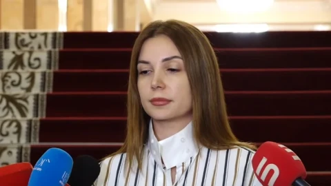Анна Григорян: Пашинян сам не знает, где проходят «красные линии» Алиева