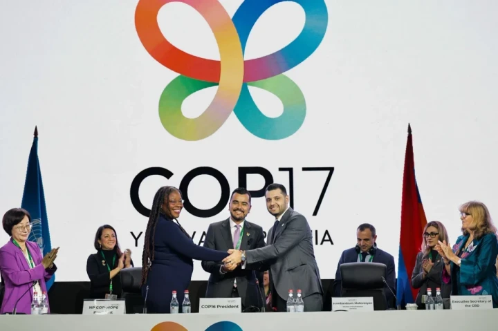 Armenia environment minister: I was elected President of COP17