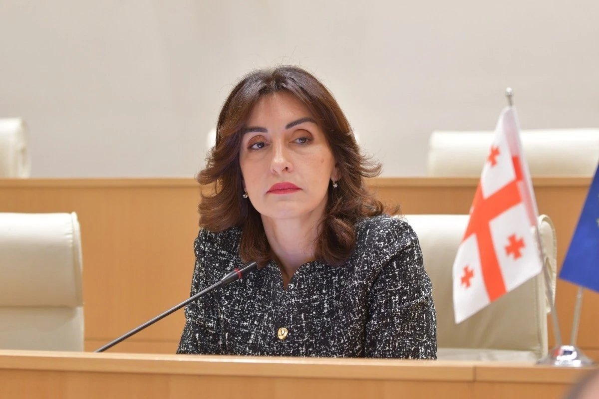 Միջին միջանցքի զարգացման գործում մեծ նշանակություն ունեն Բաքվի հետ հարաբերությունները. Վրաստանի արտգործնախարար