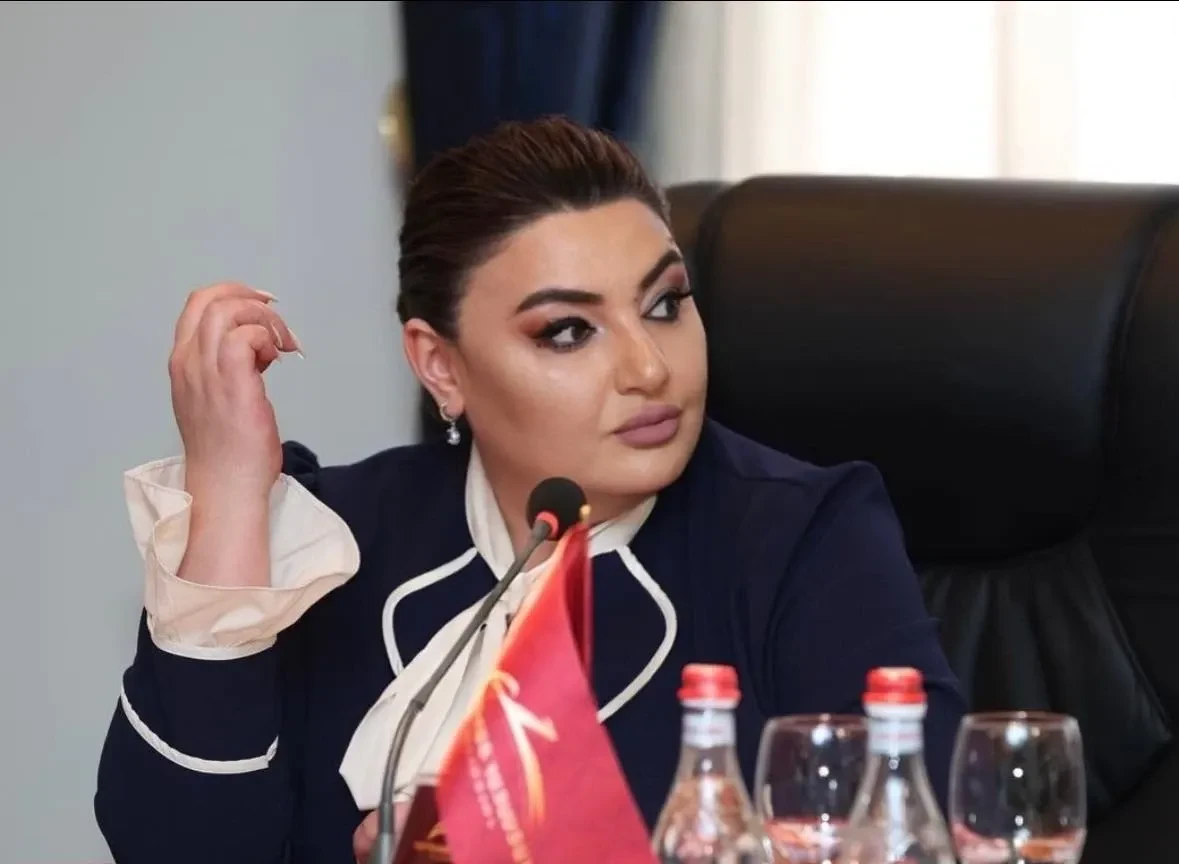 Ивета Тоноян — о заявлении Пашиняна: Для нас дипломатия — не авантюризм