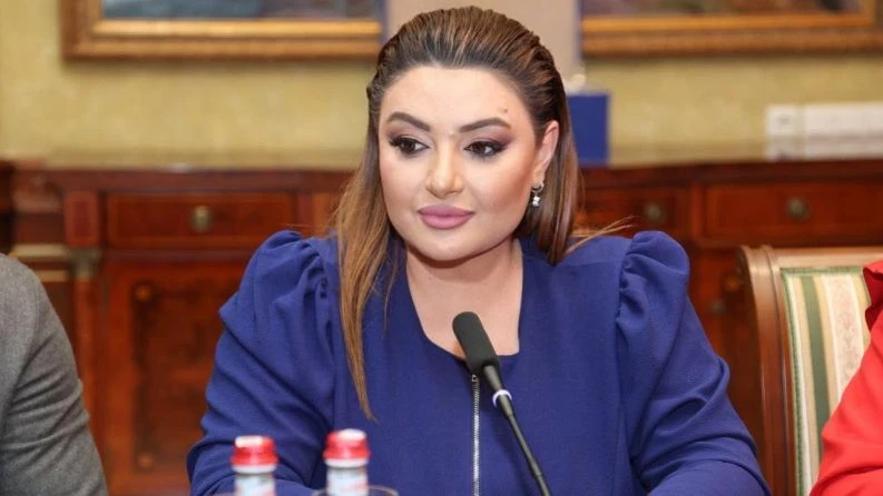 Ի վերջո, ի՞նչն է պետք հերքել, «ստոյկա տալու» վերաբերյալ արտահայտությո՞ւնը. Տոնոյանը՝ Փաշինյանի մասին