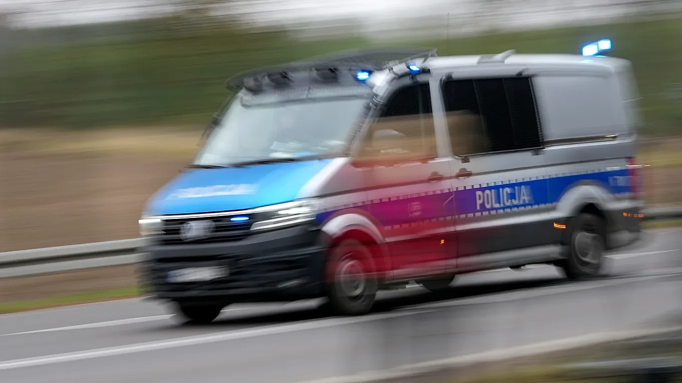 Жуткая находка в Польше: во время строительных работ на частном участке обнаружено более 30 эмбриональных останков