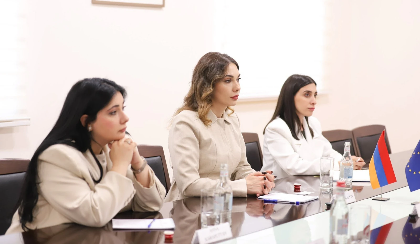 Armenia justice minister, EU ambassador discuss visa liberalization action plan progress