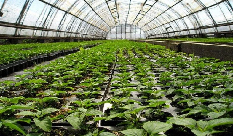 Ջերմատնային տնտեսություններ ունեցող տնտեսվարողներին աջակցելու համար մշակվել է նոր ծրագիր