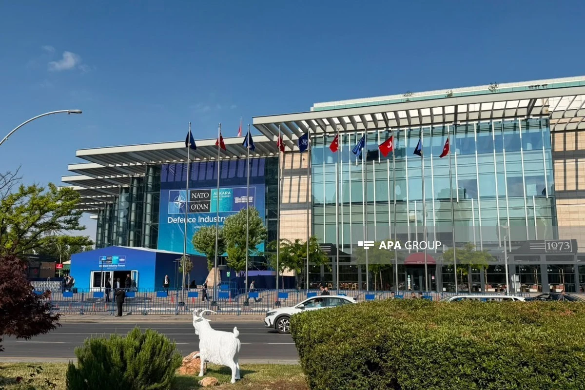 36th NATO Summit kicks off in Turkey's Ankara
