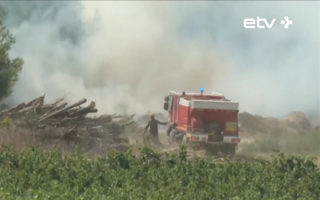 In France, a suspect was detained in connection with an attempted forest arson near Paris