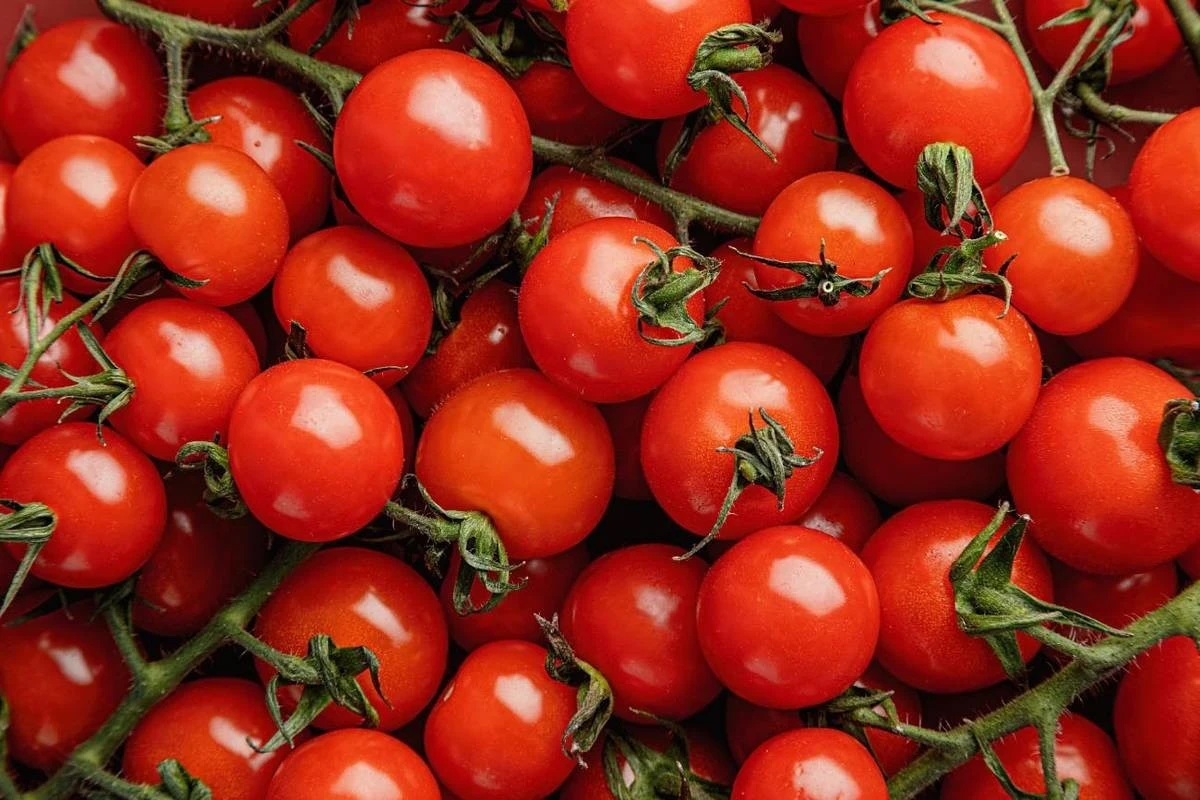 Հայաստանը դարձել է վրացական լոլիկի գլխավոր ներմուծողը