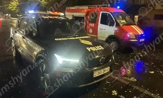 В центре Еревана из-за сильного ветра дерево упало и перекрыло дорогу