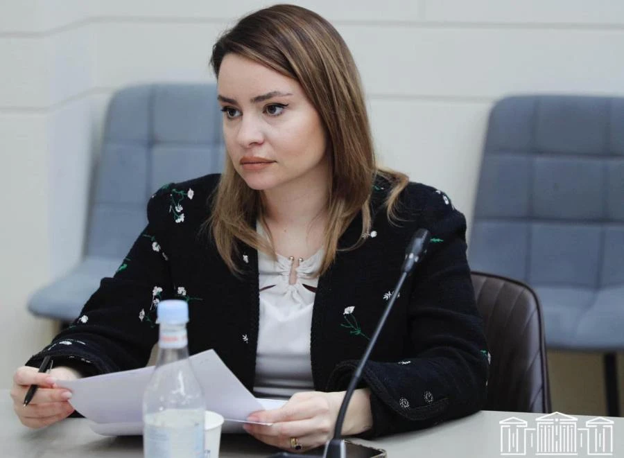 Սոնա Ղազարյանը 3 օրով գործուղվում է Վարշավա. կմասնակցի «գենդերային հավասարությանը» վերաբերող նիստի