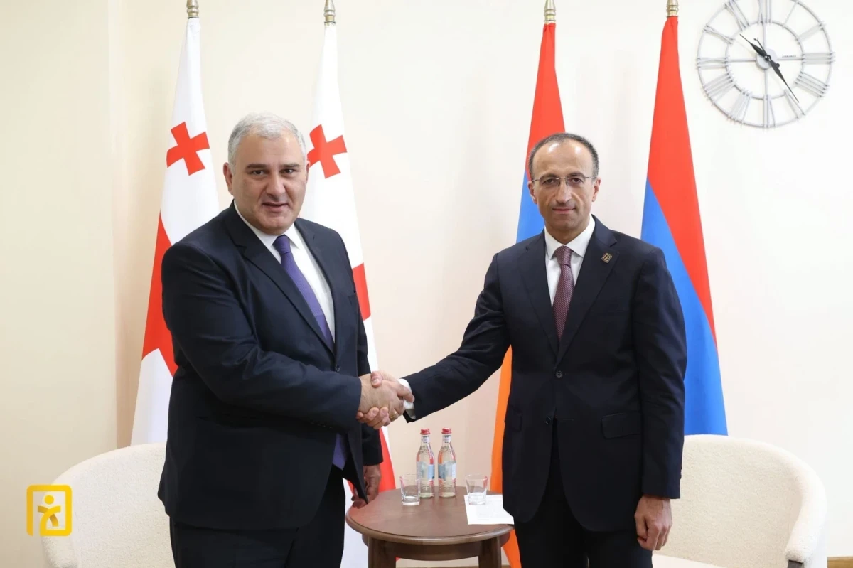 Արսեն Թորոսյանը և Միխեիլ Սարջվելաձեն քննարկել են սոցիալական ծառայությունների թվայնացման ոլորտում համագործակցության հարցեր