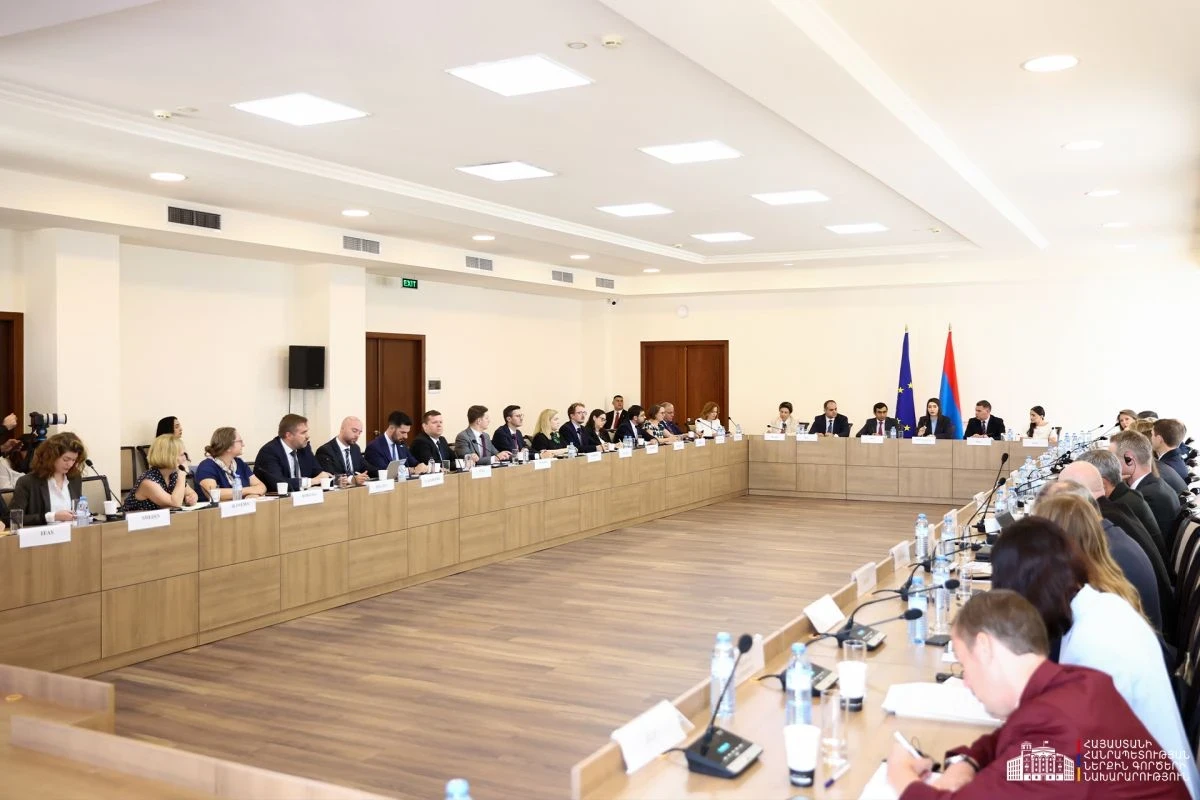 Հայաստանը հաստատակամ է լիարժեք իրականացնել ՀՀ-ԵՄ վիզաների ազատականացման գործողությունների ծրագիրը․ ՆԳ նախարար