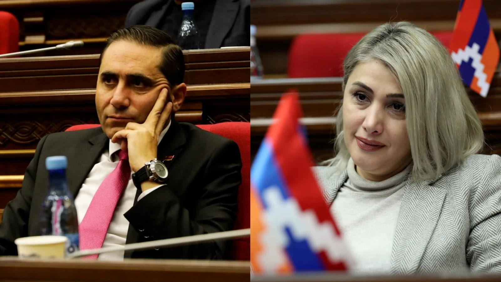 Էլինար Վարդանյանը և Արման Աբովյանը հանդիպել են IODA ներկայացուցիչներին. ներկայացվել են քաղաքական հետապնդումների փաստերը