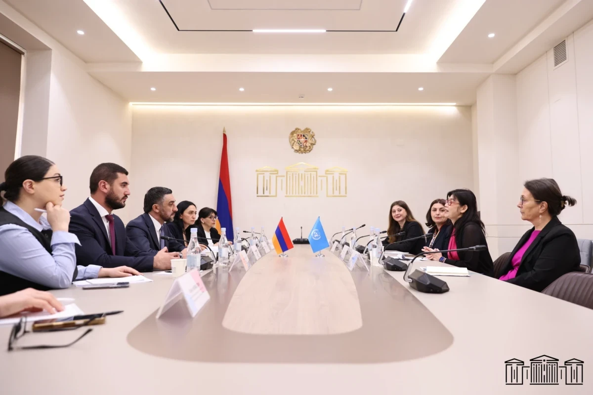ԱԺ–ում ՄԱԿ-ի կանանց հարցերով կազմակերպության ներկայացուցիչների հետ քննարկվել են գենդերային քաղաքականության հարցեր