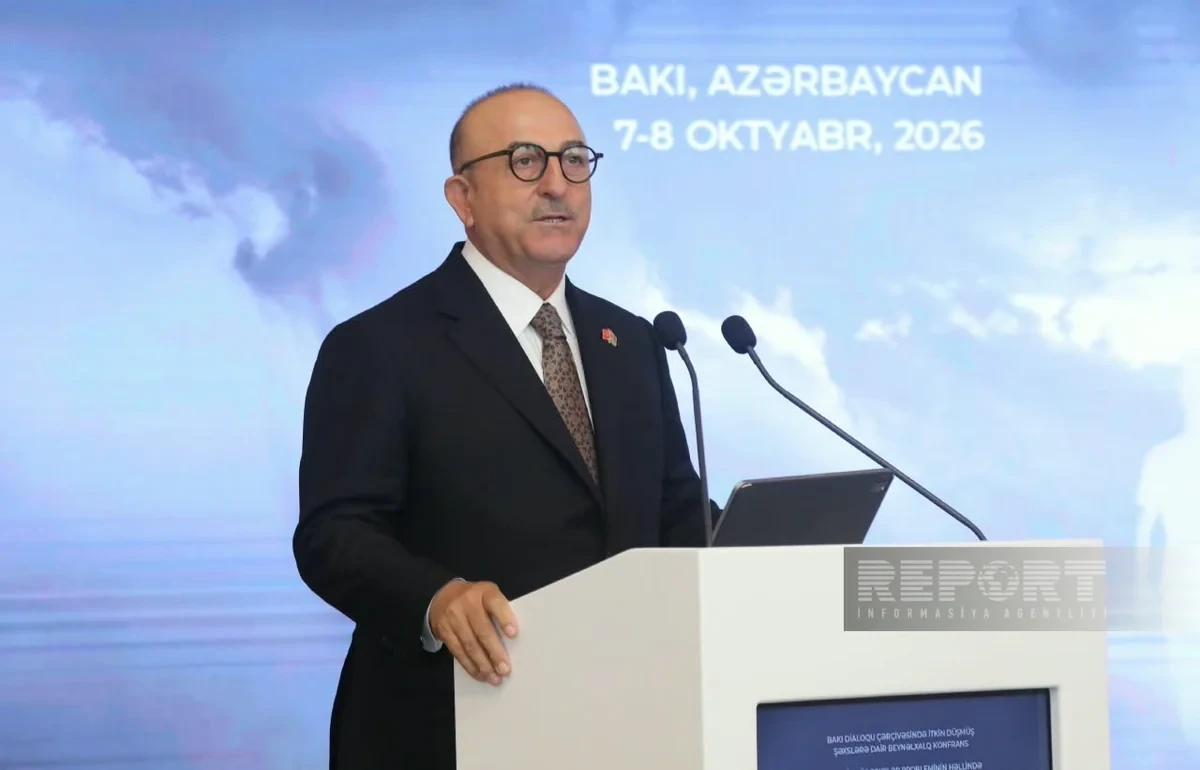 Հարավային Կովկասում կայուն խաղաղության հասնելու համար անհրաժեշտ է լուծել անհետ կորածների հարցը․ Չավուշօղլու