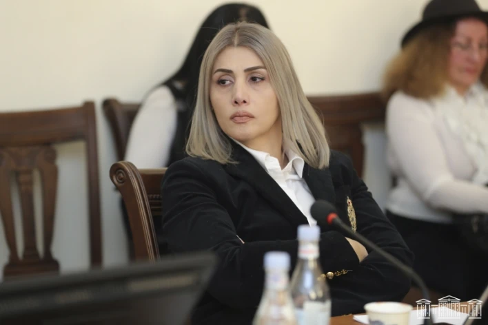ՀՀ արդարադատության հրաշքը. երբ ներդրողը դառնում է մեղադրյալ, իսկ պարտքը՝ հանցագործության պատմություն. Վարդանյան